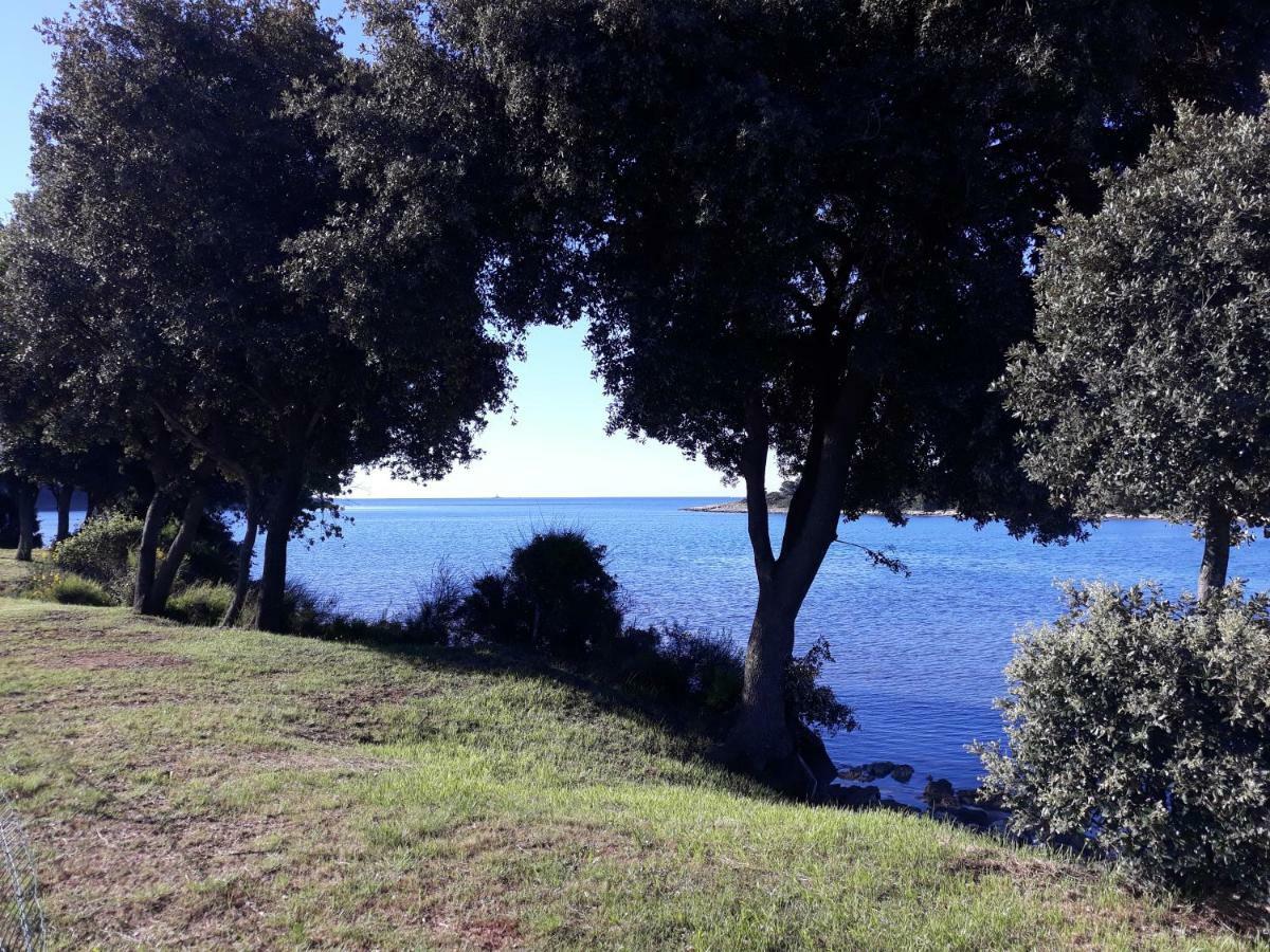Grand Veles Camp Hotel Banjole Bagian luar foto