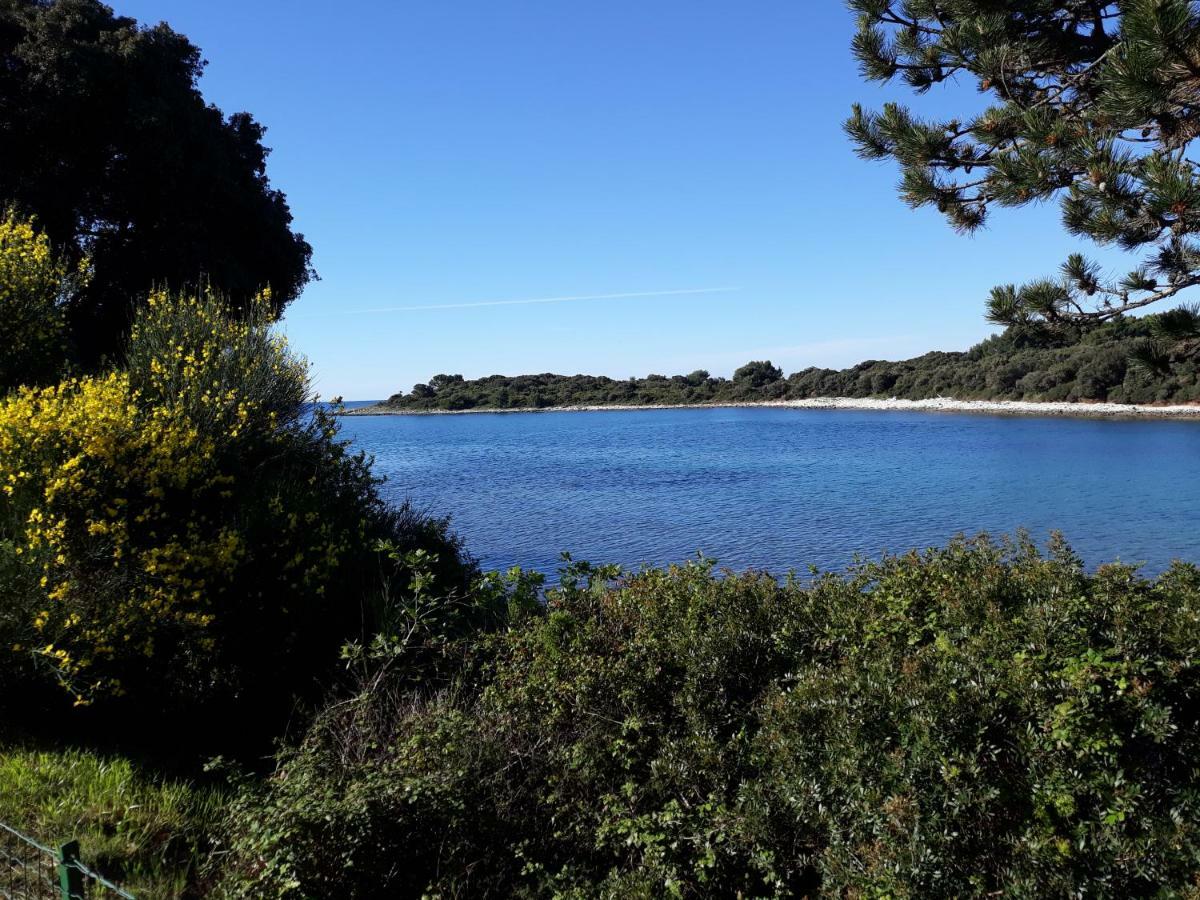 Grand Veles Camp Hotel Banjole Bagian luar foto